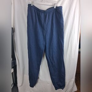 Nordictrack Womens Xl blue sweatpants